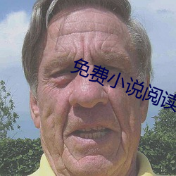 免费(費)小(小)说阅读网