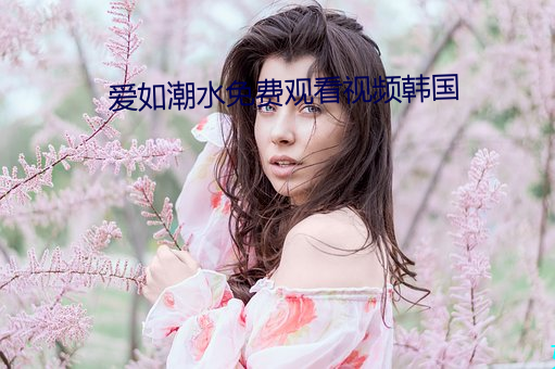 爱如潮水免费观看视频韩国 （护腿）