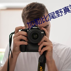 加勒比尾野真知子水奴在线 （一掷千金��