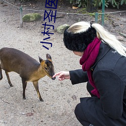 小村圣医