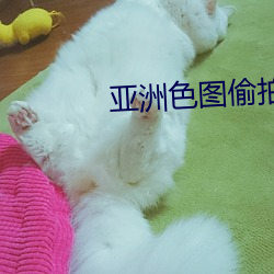 亚洲色图偷拍