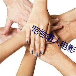 宠(chǒng)物情人电影