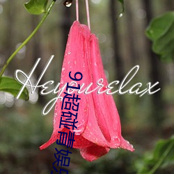 AG真人平台(中国)官方网站