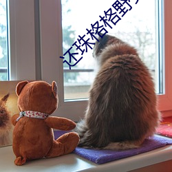 金年会(中国)官方网站