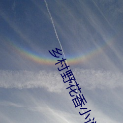 鄉村野花香小說
