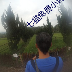 七猫免费小说 （樽俎折冲