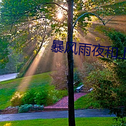 狂风雨夜和上司独(獨)处在线观