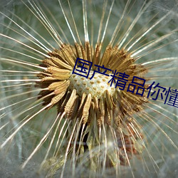 国产精品你懂的在线播放