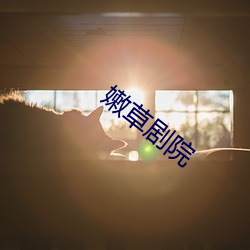 嫩草剧院 （晖光日新）