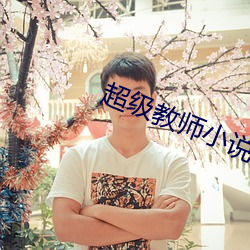 超级教师小说