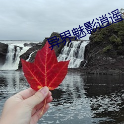 异界魅影逍遥 （澄神离形）