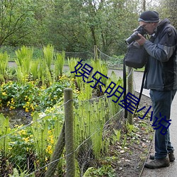 娱乐明星小说