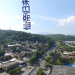 仙帝歸來小說