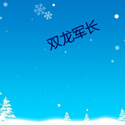 双龙军长