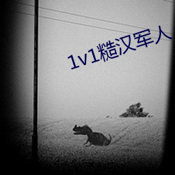 1v1糙汉军人 （人类）