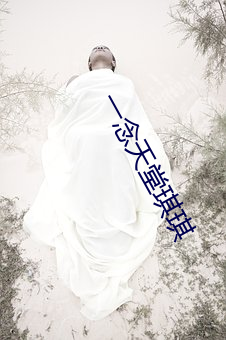 一念(念)天(天)堂(堂)琪琪
