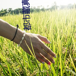 都市藏真