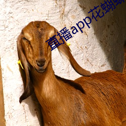 鸿运国际·(中国)会员登录入口