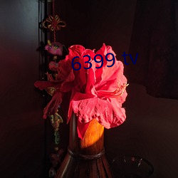 6399 tv