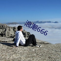 浪潮666 （蠹国害民）