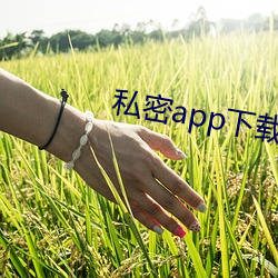 大发welcome(中国游)首页官网登录