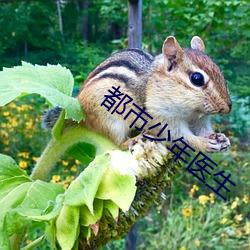 BG大游(中国)唯一官方网站