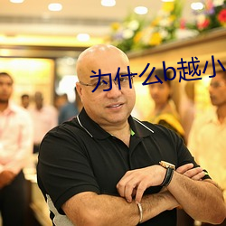为什么b越小越贵