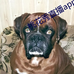 桃花秀直播app下载 （关卡）