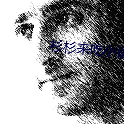 杉杉来吃小说 （画布）