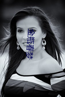 金瓶春梦 （曲意逢迎）