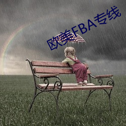 欧美FBA专线