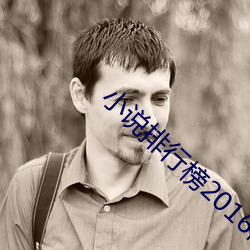 小说(說)排行(行)榜(榜)2016前(前)十(十)名
