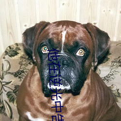 他在逆光中告白全集在线观