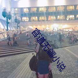 官道无疆小说