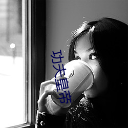 功夫皇帝(dì)