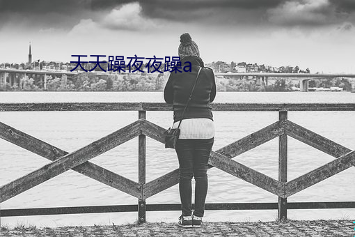 天天躁夜夜躁a （江轮）