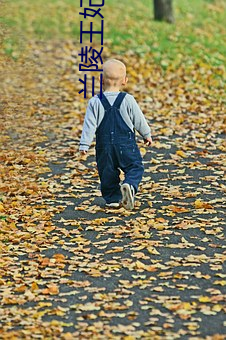 兰陵王妃小说