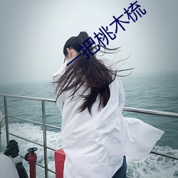 一把(bǎ)桃木梳