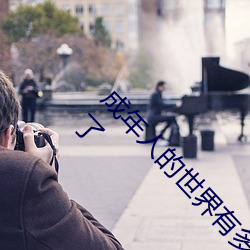 成年人的世界有多艰辛 成年的人的世界一个就够了 缉查）