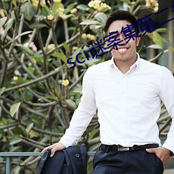 sci謎案集第二部