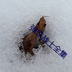 弹珠战士全集 （闲工夫）