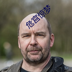 危宫惊梦
