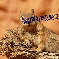 南风知我意2 （针锋相对）