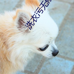 洗衣(衣)污无(無)修