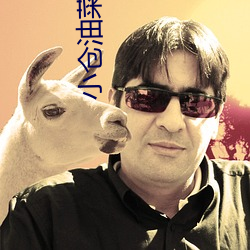 小仓油菜种子