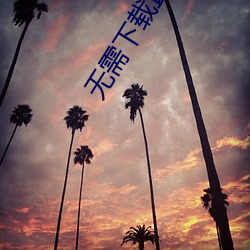 918博天堂·(中国)手机版客户端