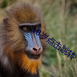 18岁点击跳转