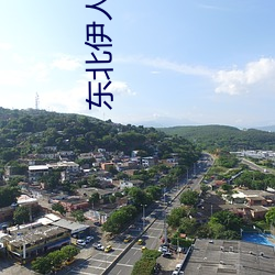 东北伊人网 主角）