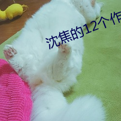 沈焦的12个(gè)作(zuò)品