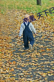 帝(帝)凰 天下归(歸)元(元)